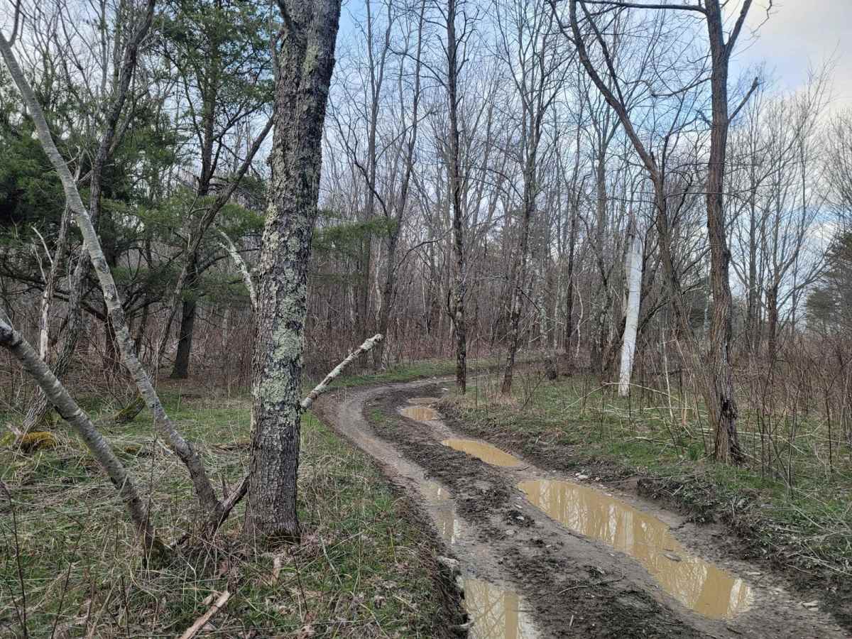 54C - Power Pole trail photo