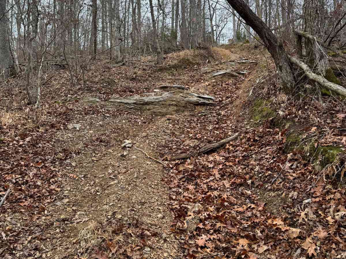 Red 287 trail photo