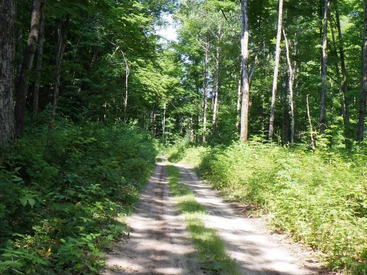 East Sawmill Route photo 5