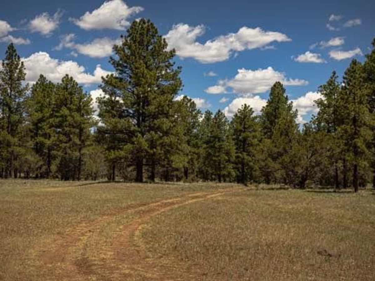 Pine Creek trail photo