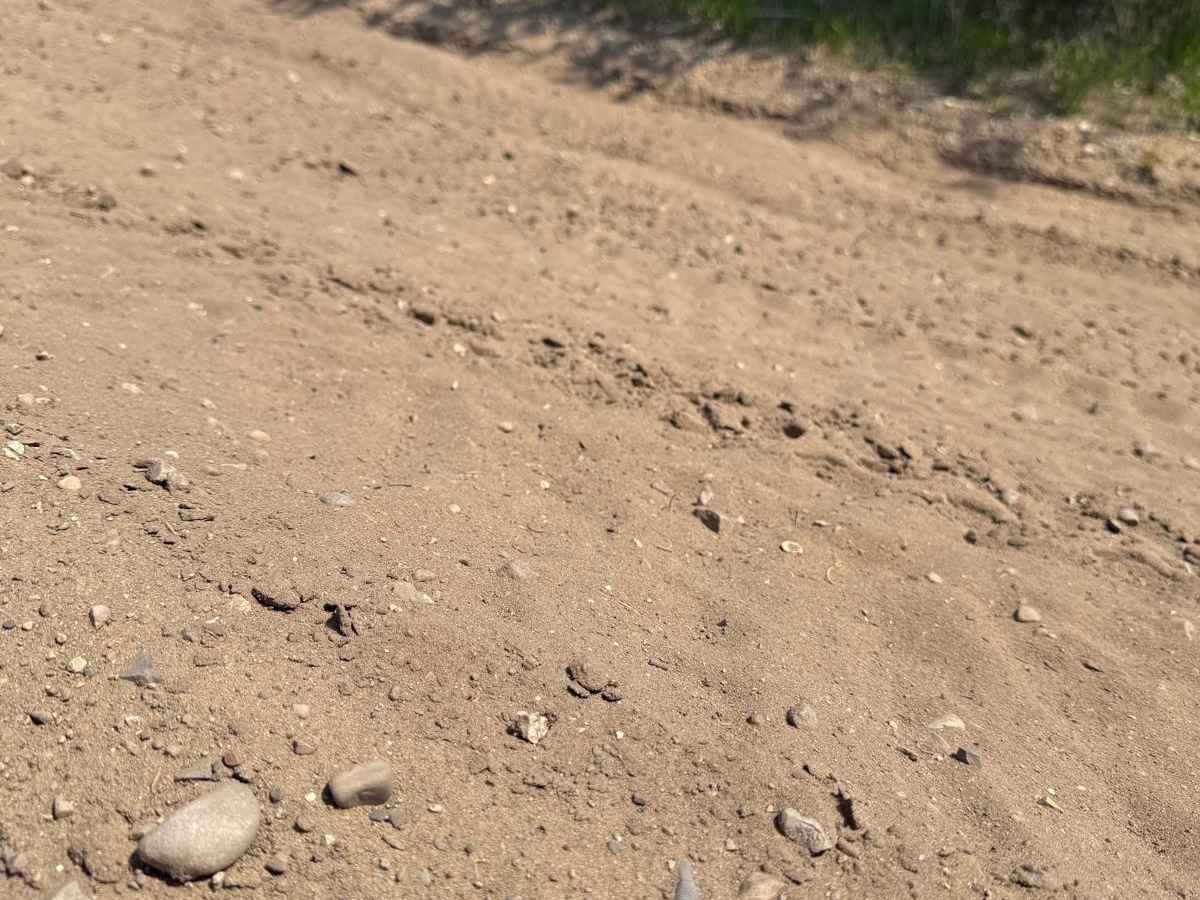 Shaker Trail photo 2