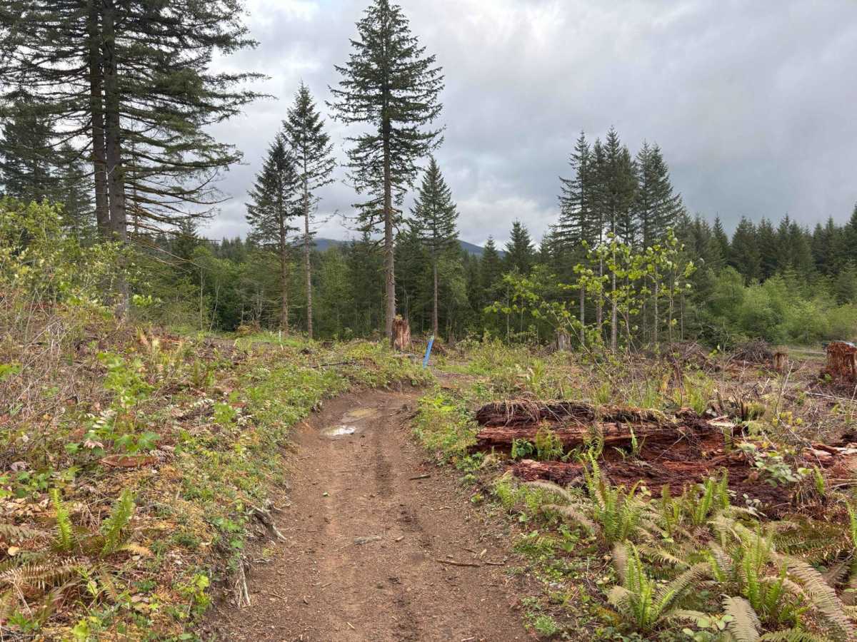 Jones Creek ORV photo 3