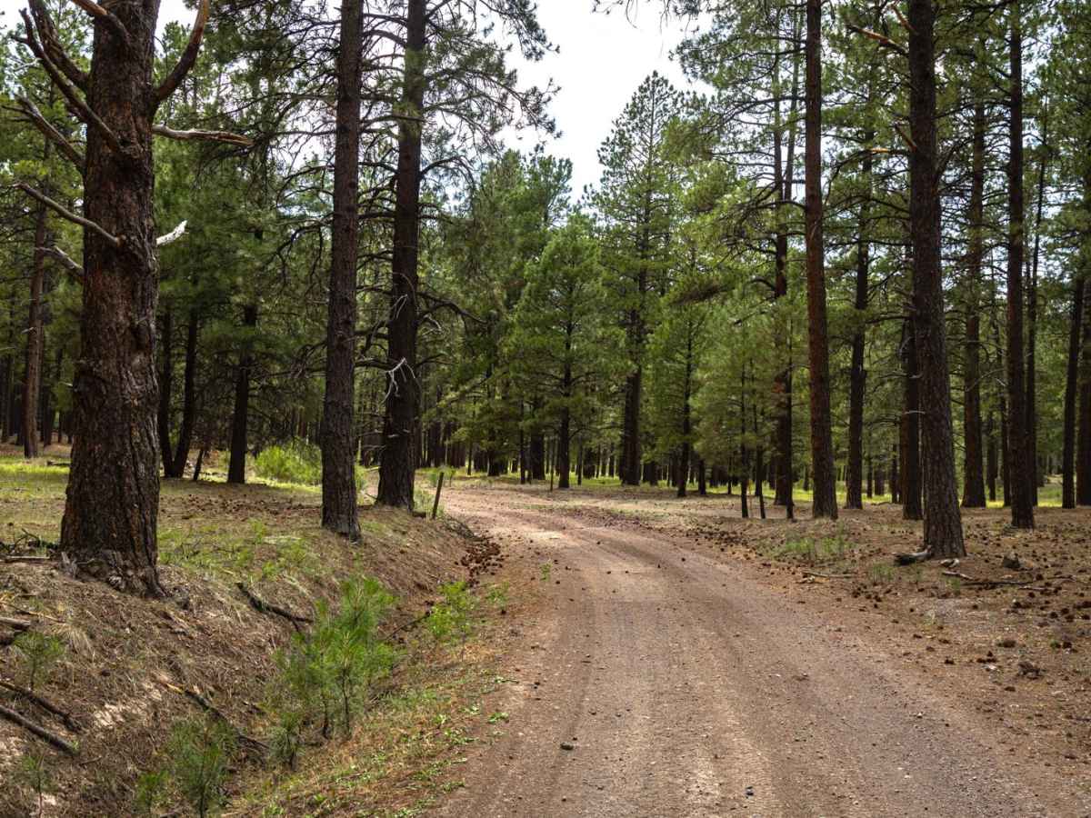 FR76 trail photo