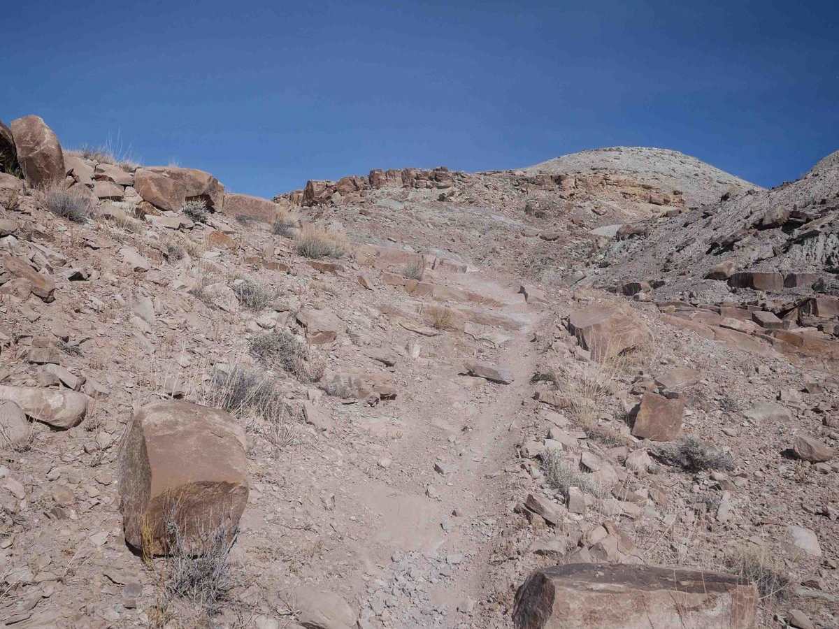 Rocky Bluff photo 6