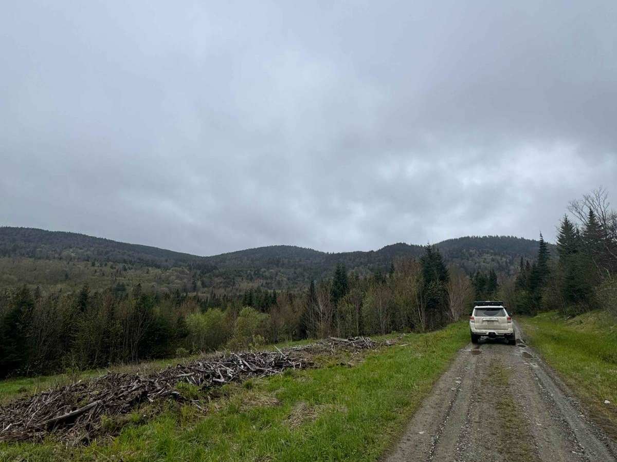 Tim Pass Loop photo 3