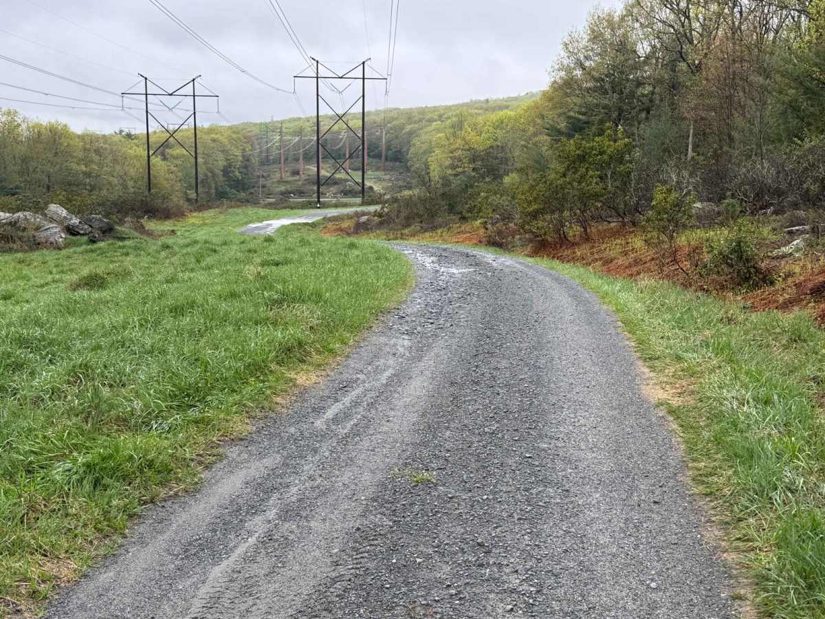 Wolf Brook Trail photo 3