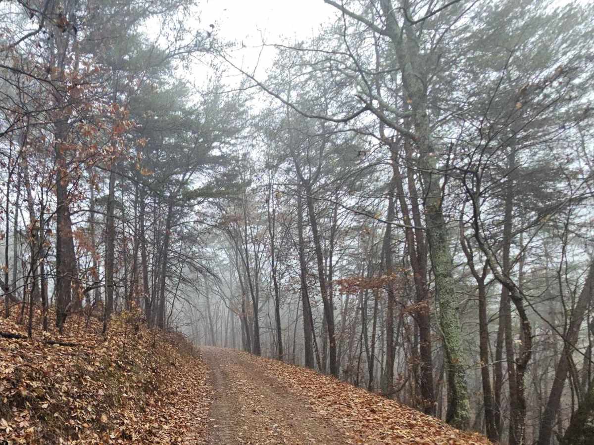 Chestnut Mountain (212A) trail photo