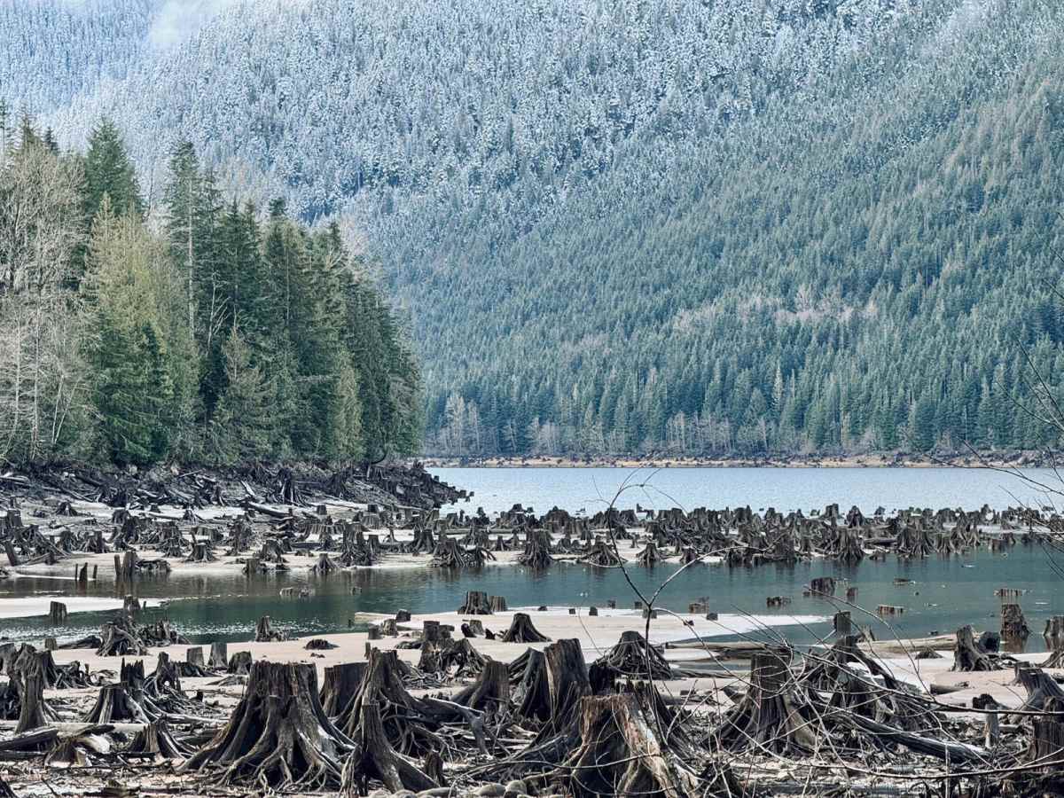 Jones Lake photo 2