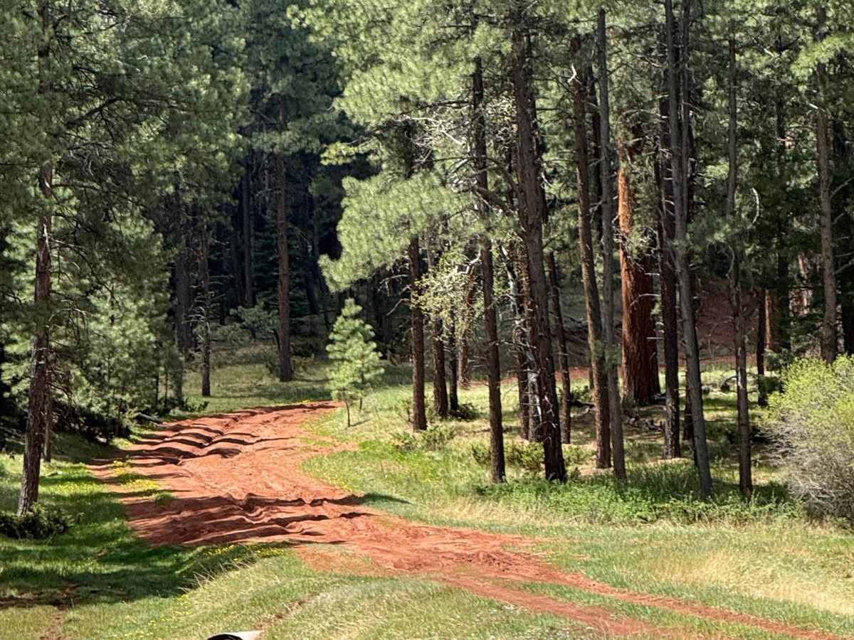Moon Canyon - FR 117 photo 5