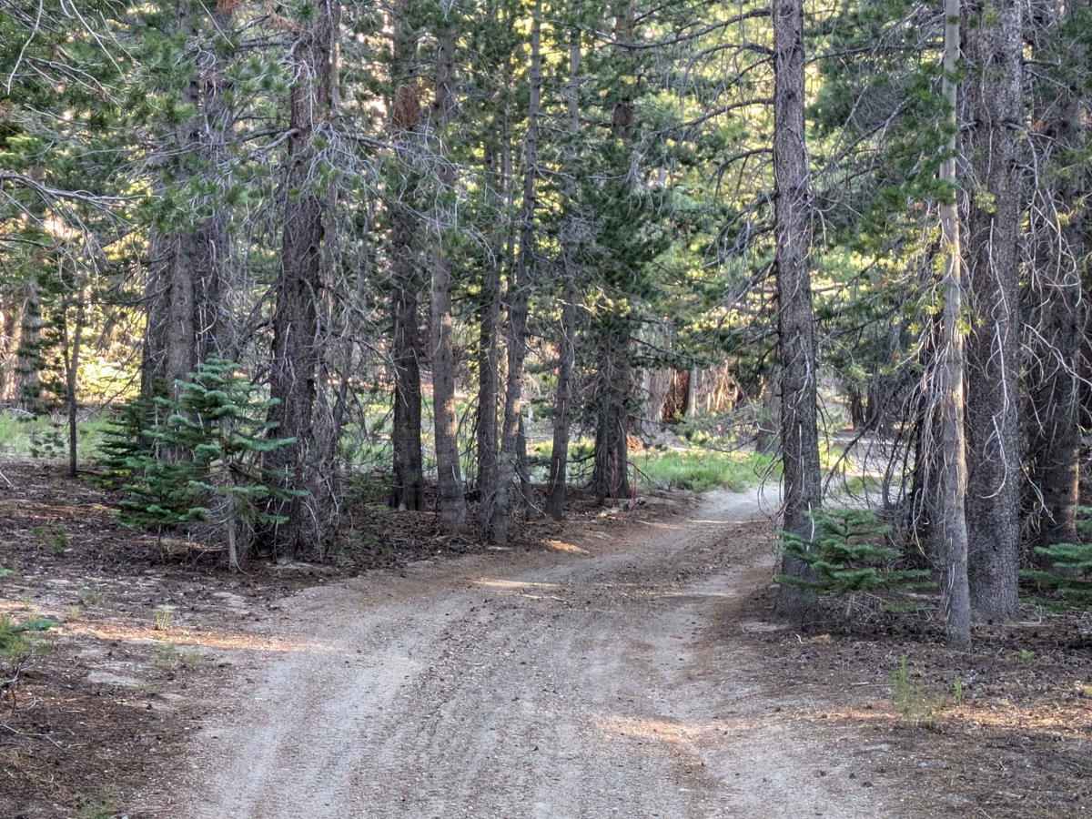 Dry Creek Knoll photo 5
