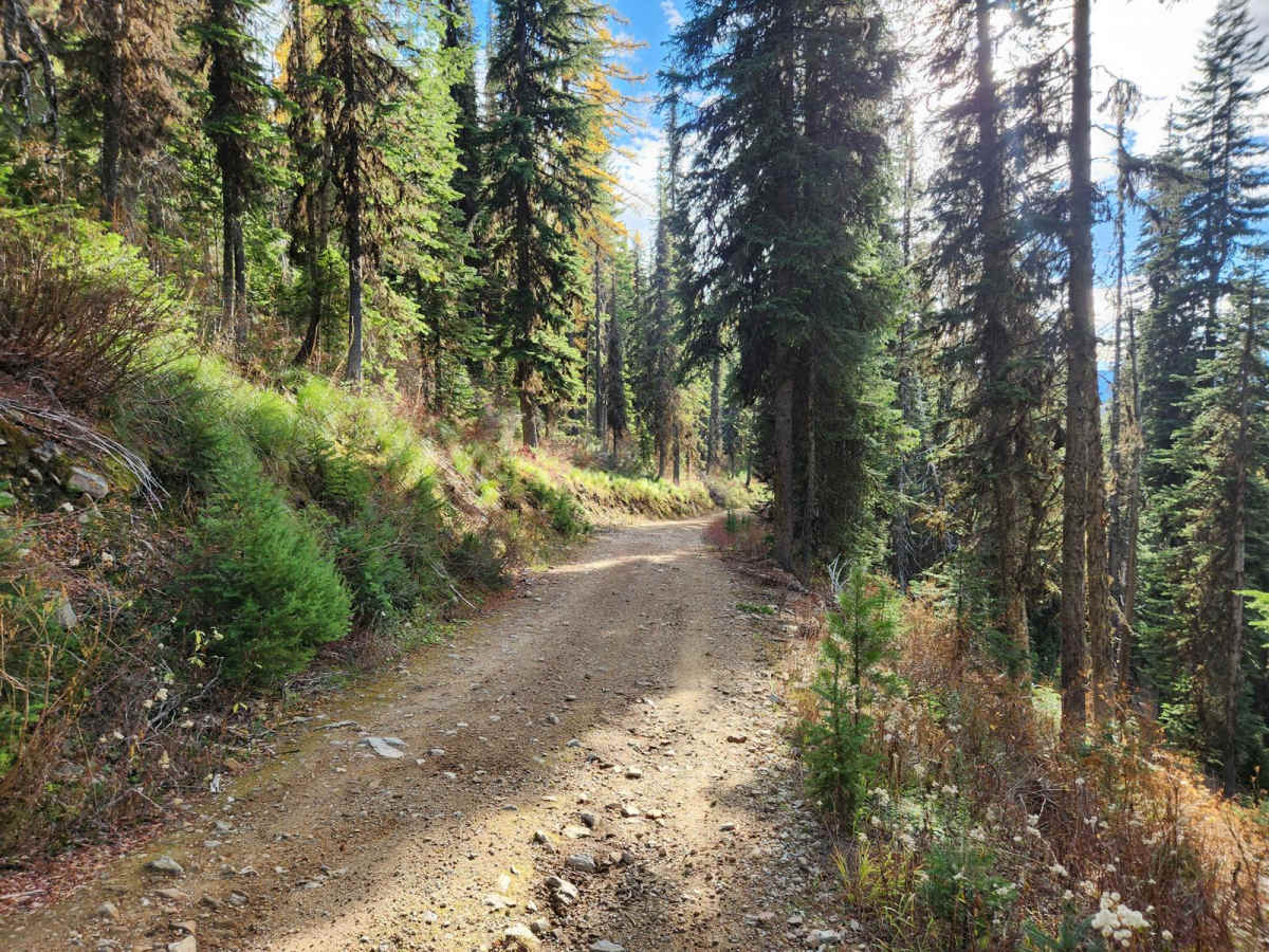 Upper Red Ives Creek photo 5