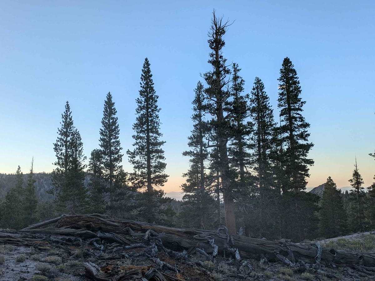 Sawmill Meadows Side Trail photo 4