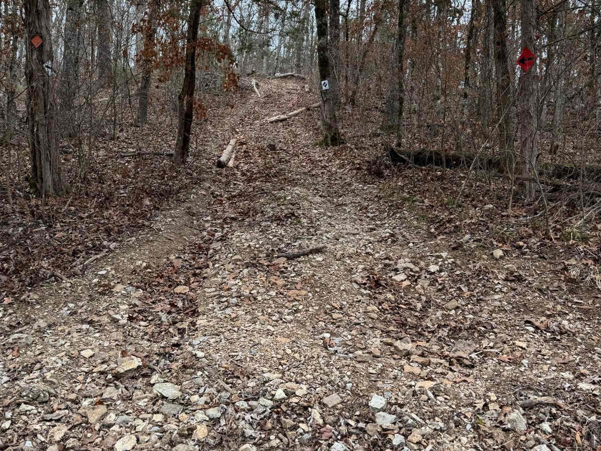 Yellow 279 trail photo