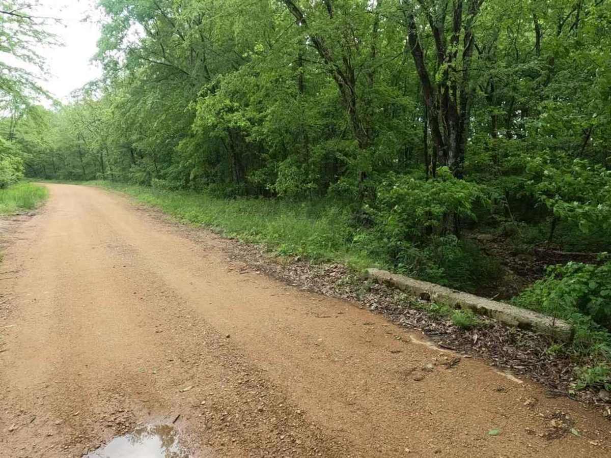 Reynolds Ford Road photo 4
