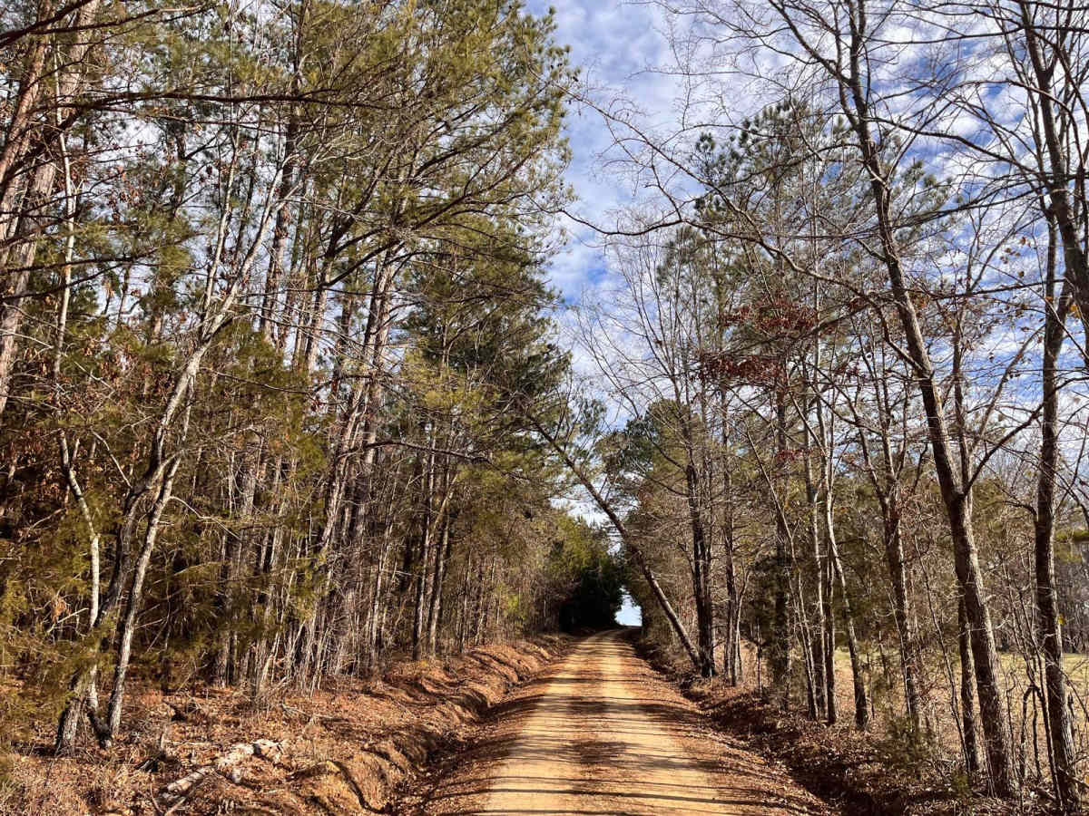 Wildplum Road trail photo