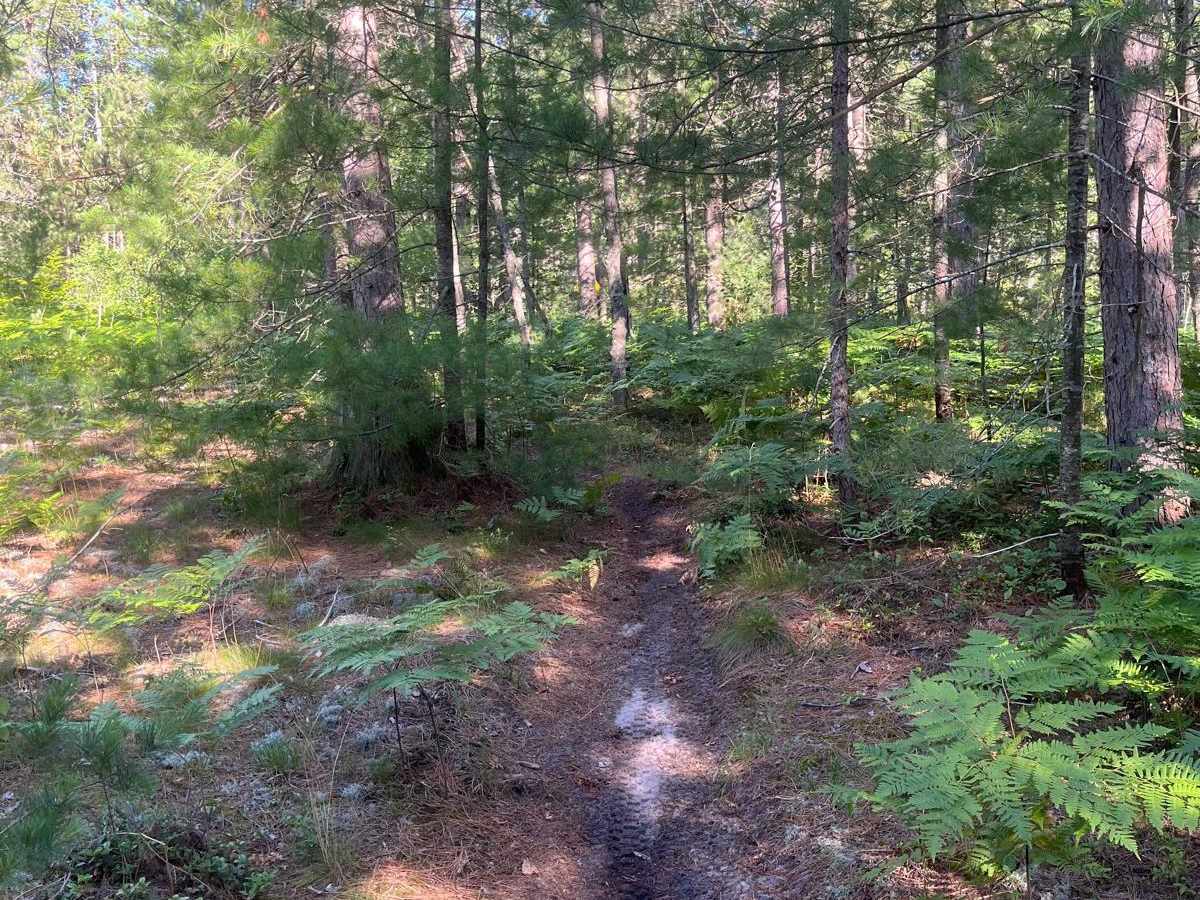 MCCCT Newberry to Rexton photo 5
