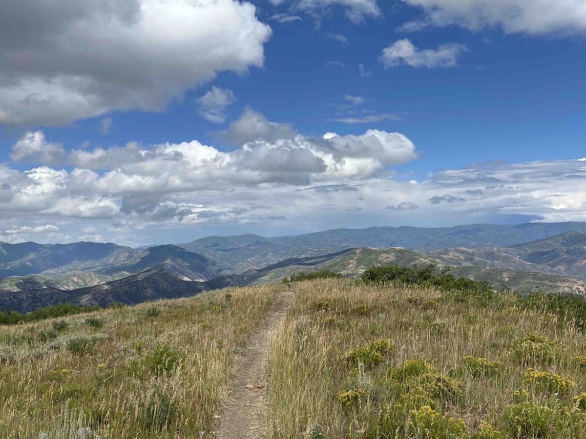 Little Diamond (8016) trail photo