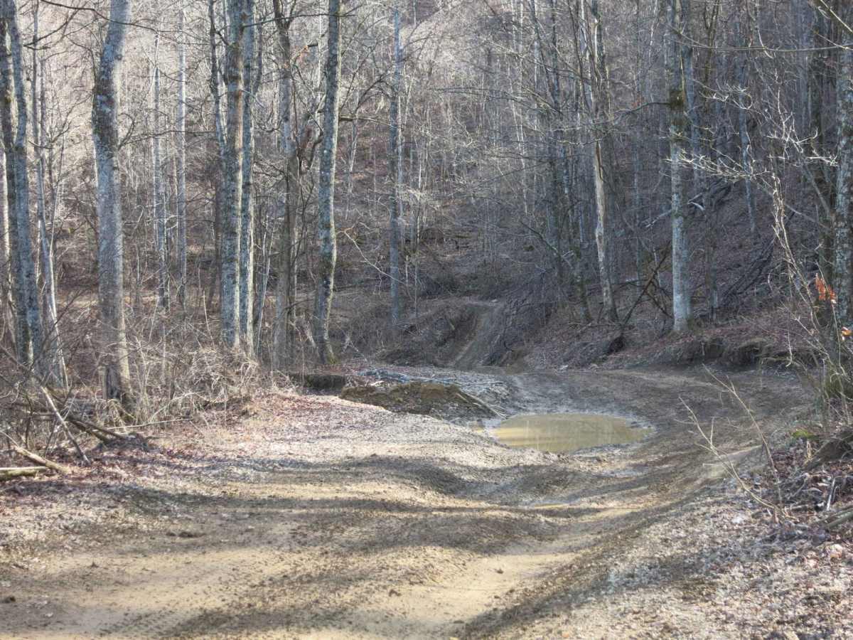 Trail 19 - Walnut Mountain Trail photo 6