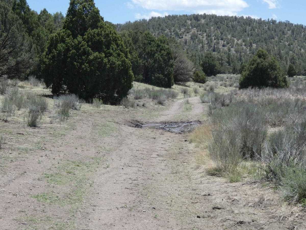 Swingle Canyon FS62 photo 6