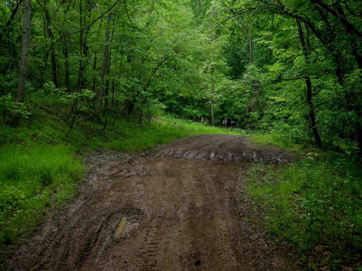 T27 photo 6