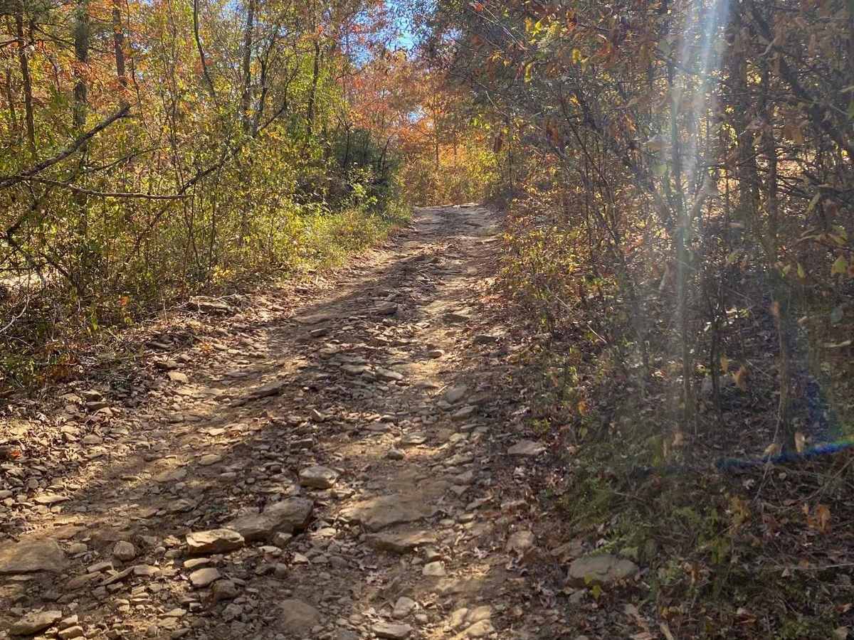 Graves Creek Road photo 6