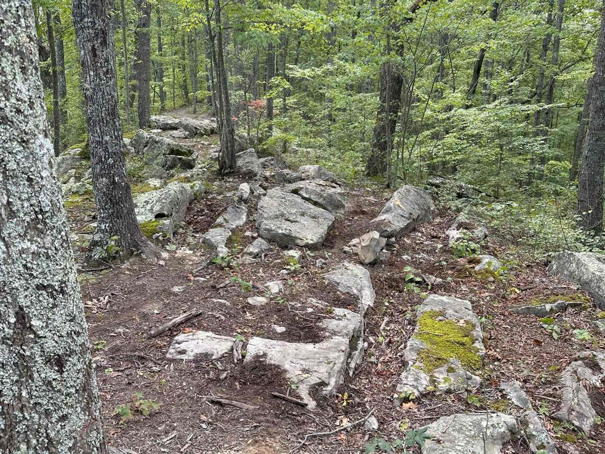 Rattler Ridge photo 3