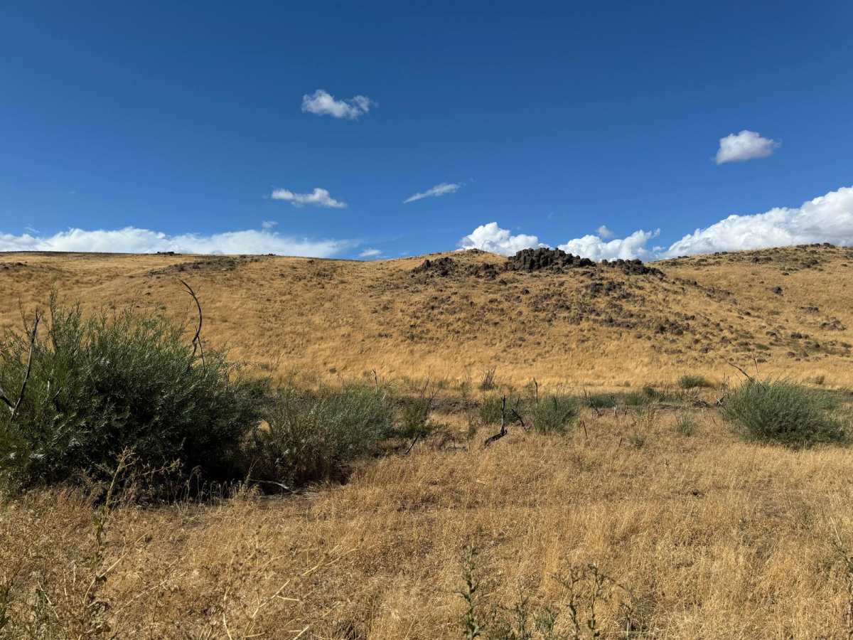 Road 19 photo 4