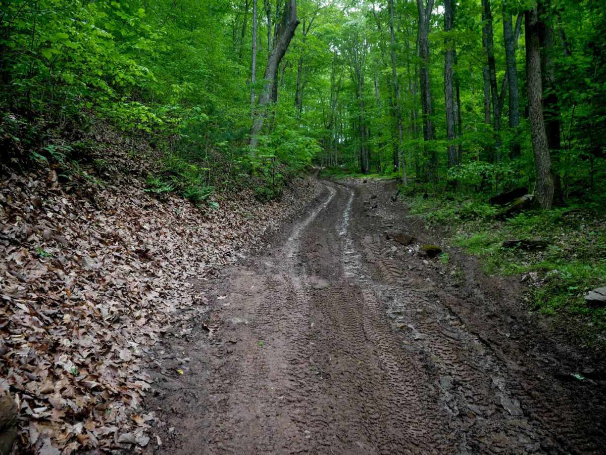 Trail 16 photo 4