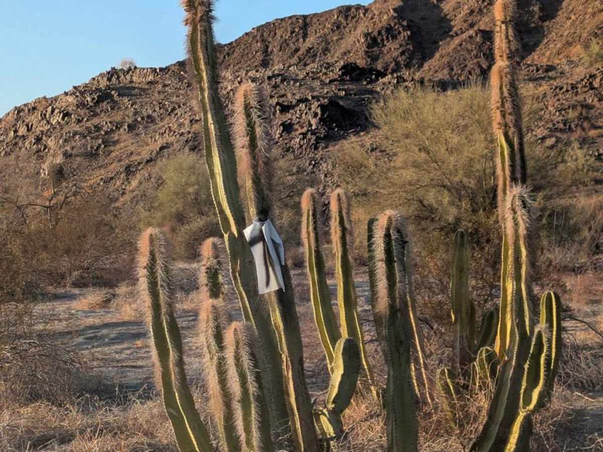 El Circuito de Montana Desconocido de San Felipe photo 3
