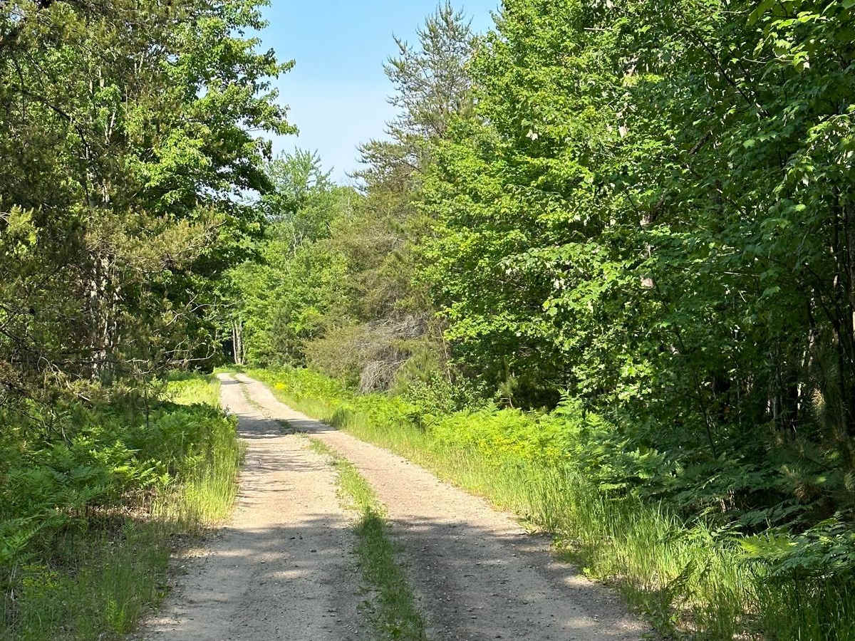Wallin Road Part 3 photo 6