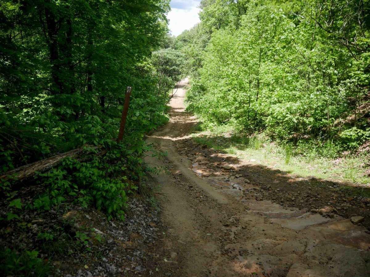 B27 trail photo
