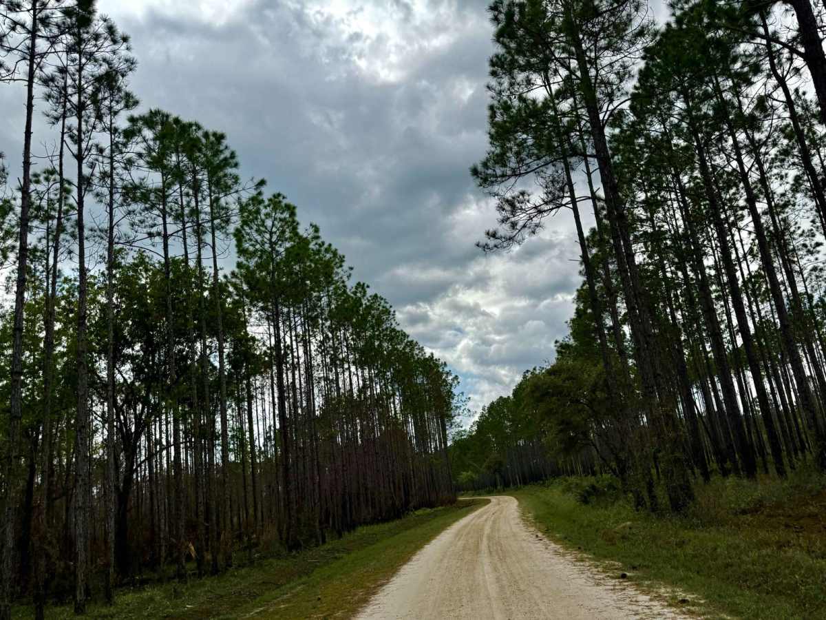 Gardener Landing Road photo 6