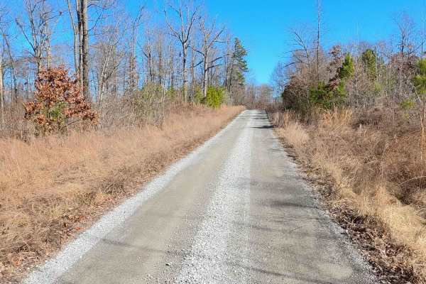 Roger's Road - FS 113