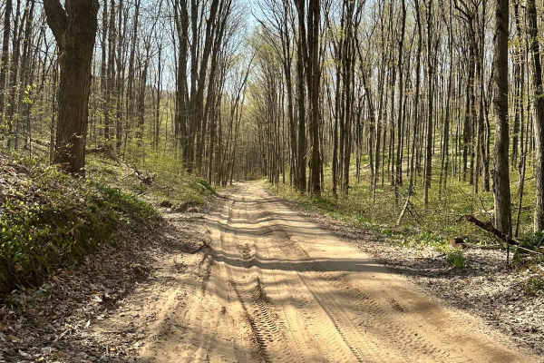 Cadillac Area ORV/OHV Scenic Ride - Part 10