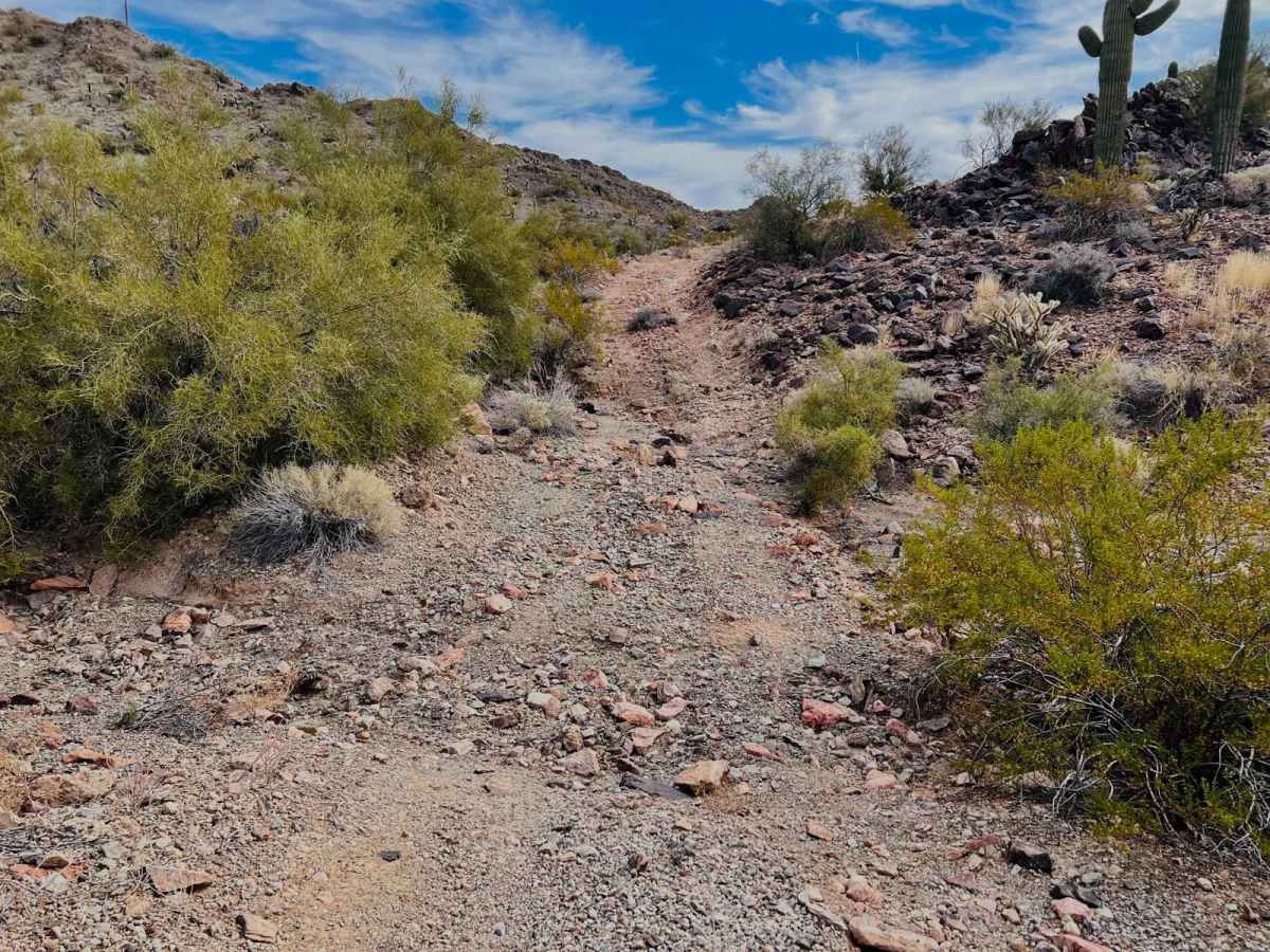 Rocks, Mines, and Cactus photo 5