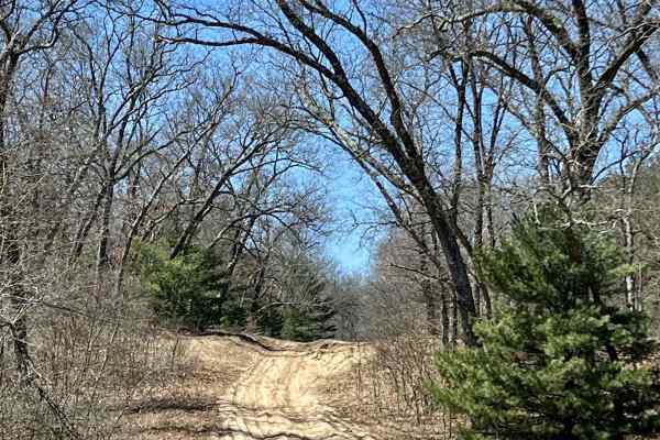 NFS 9847/Cedar Creek Motorsport Trailhead