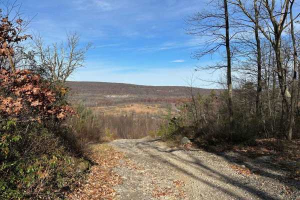 Ashland 169