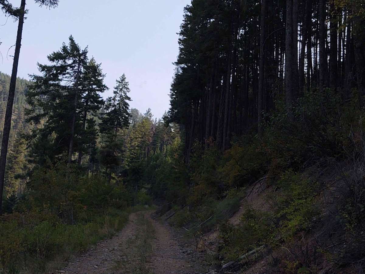 Flatiron Ridge photo 4