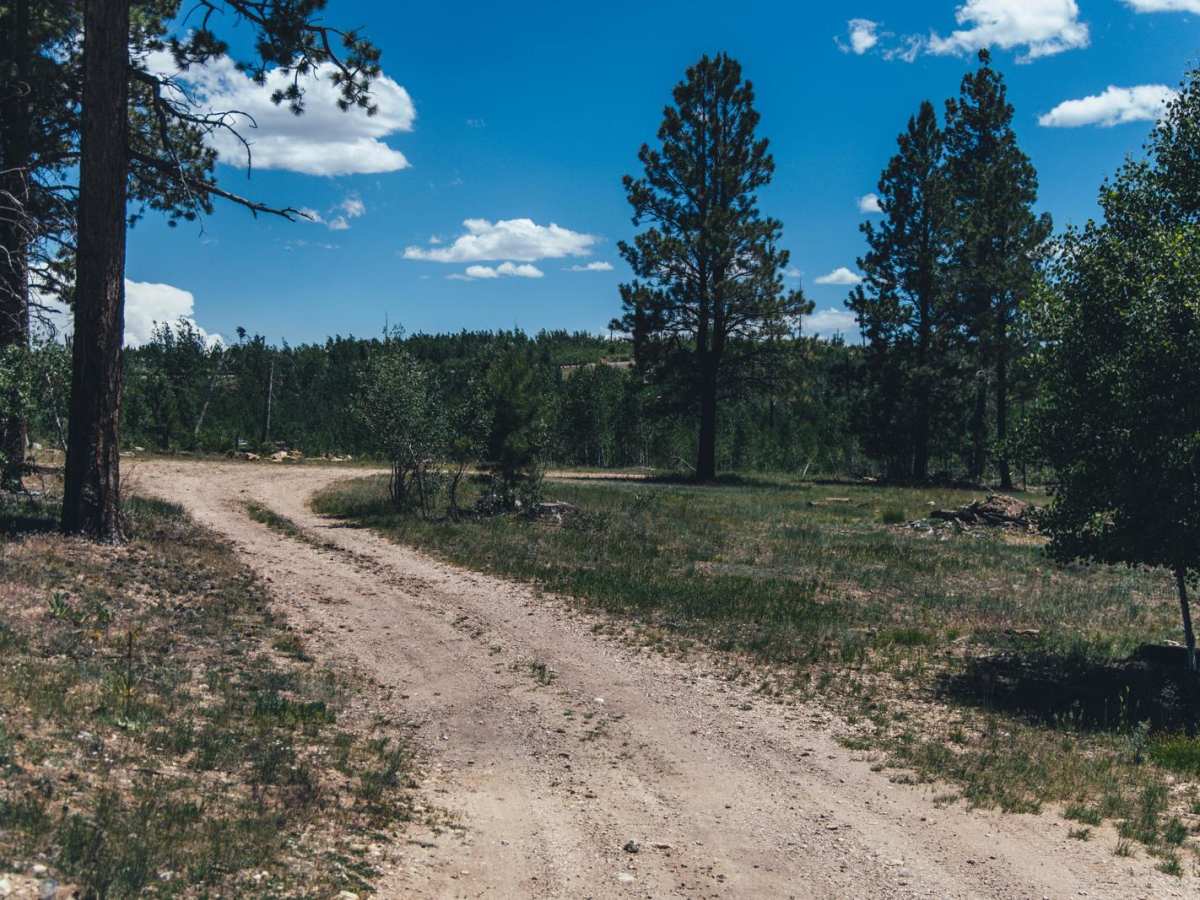 265 to Nowhere trail photo
