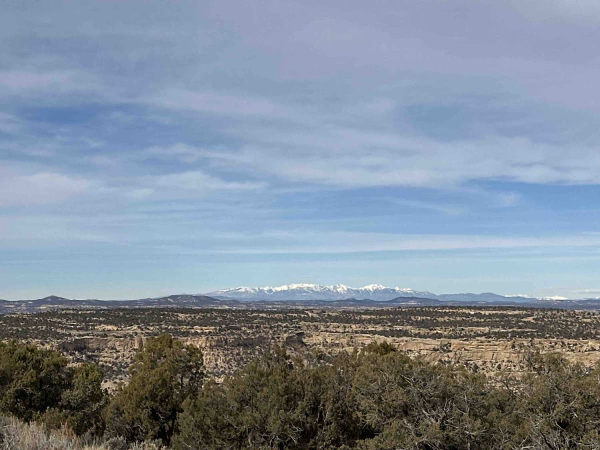 Manzanares Mesa trail photo