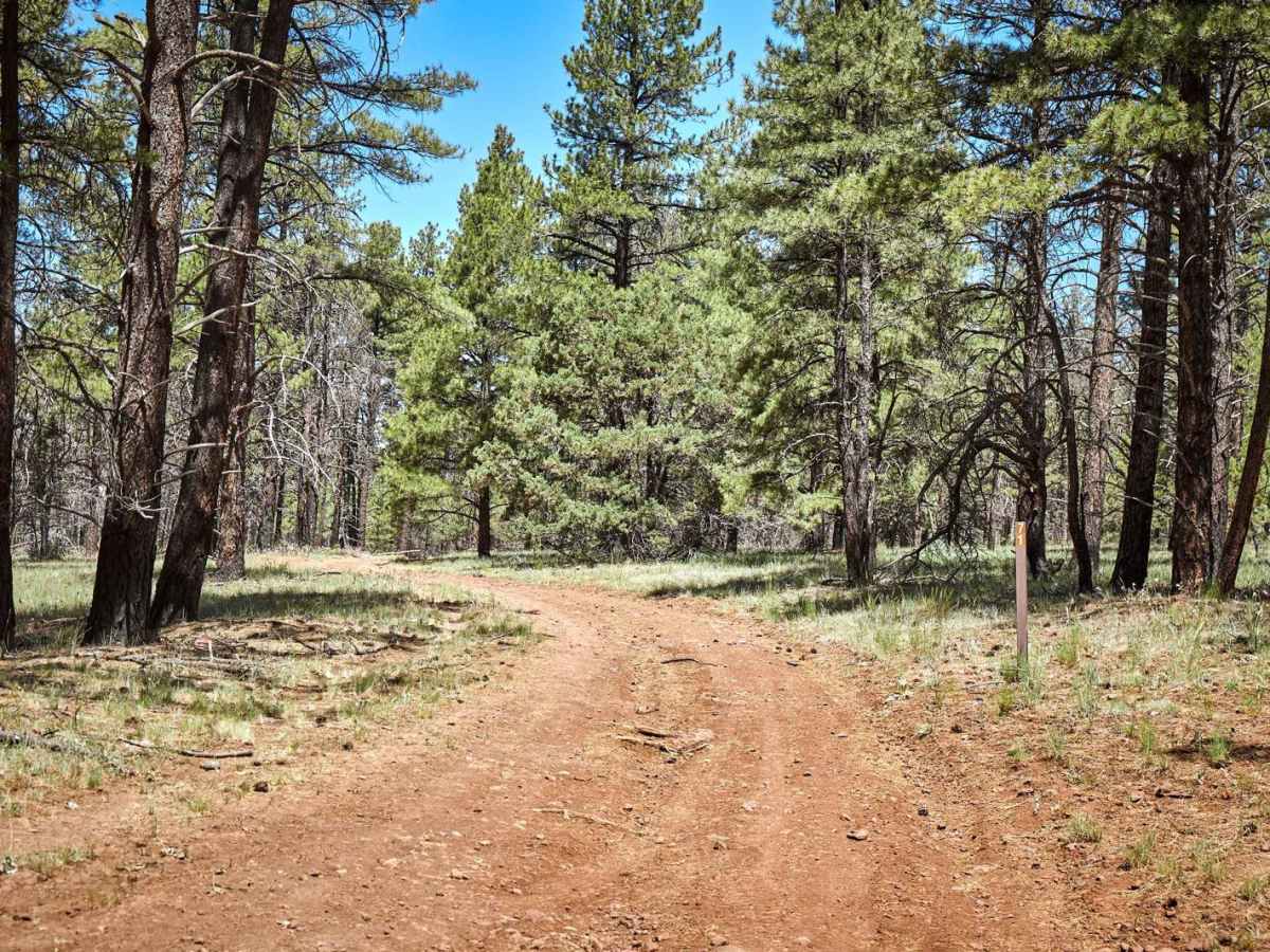 FR 71 trail photo