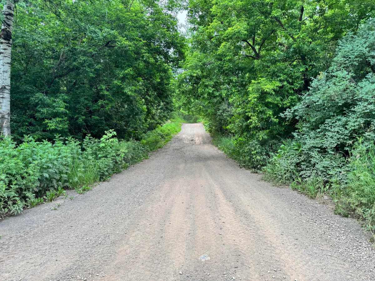 Connector Trail photo 6