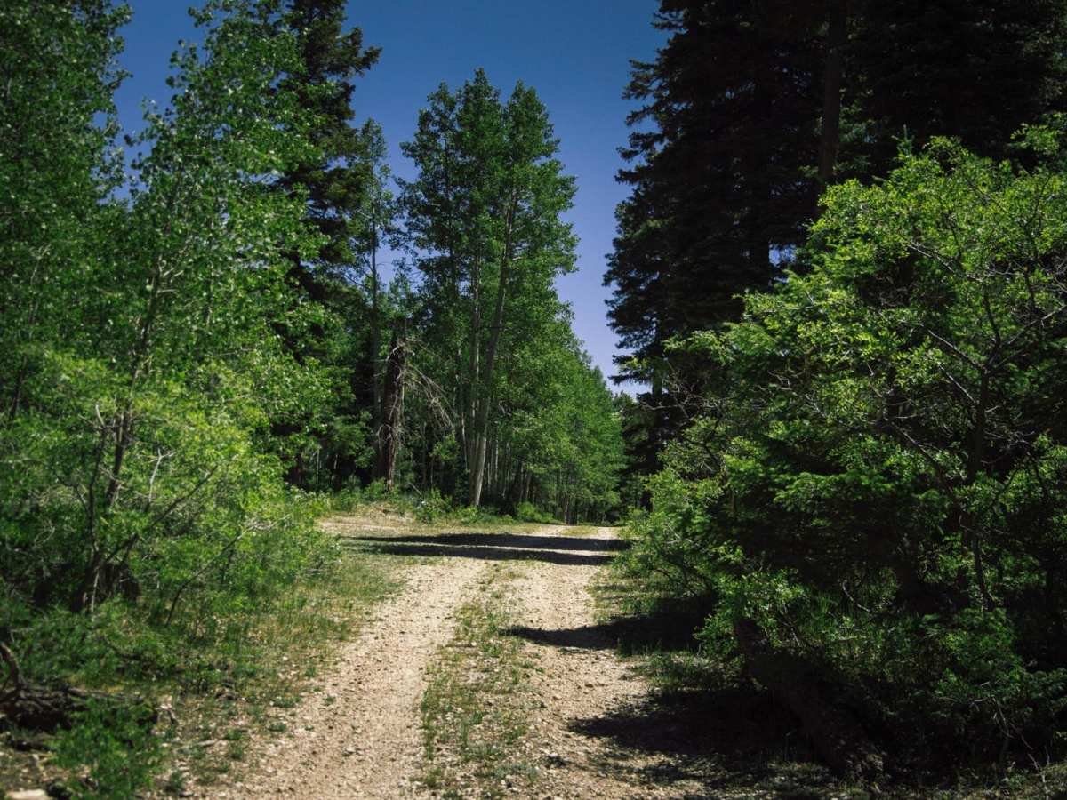 FR 400 photo 4