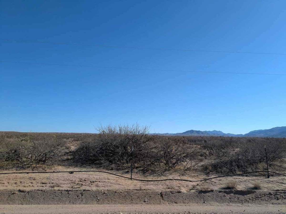 Artesia Road photo 5