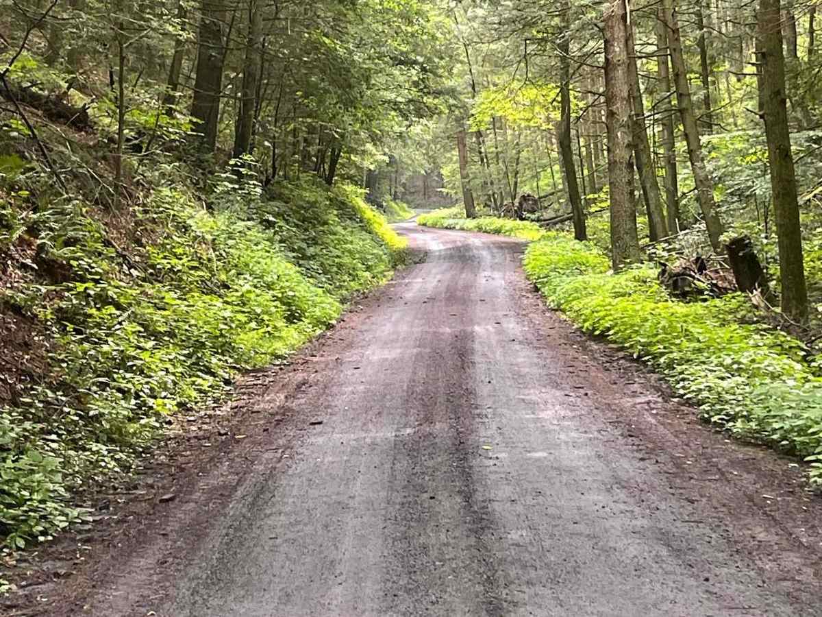 Sand Spring Road photo 2