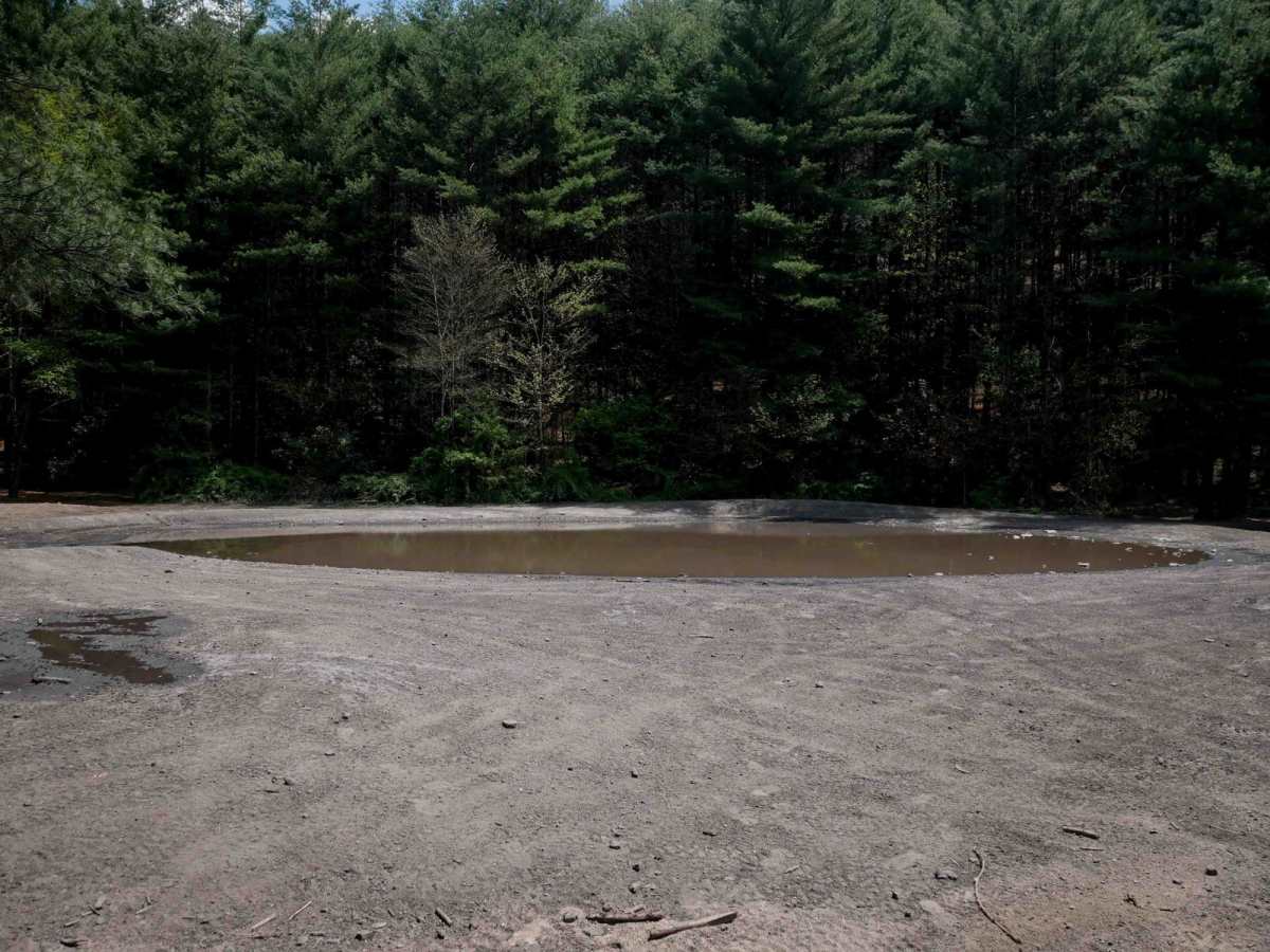 P18 photo 3