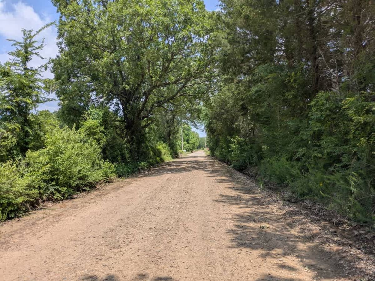 N4690 trail photo