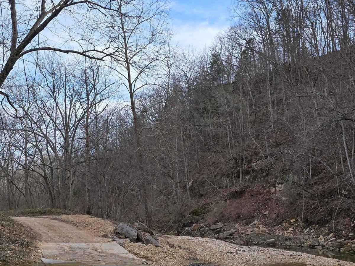Lost Creek Road photo 5