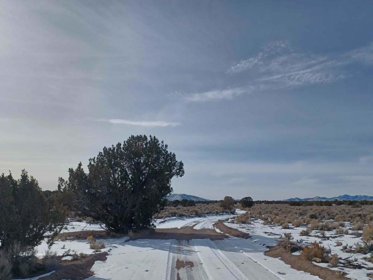 Bird Springs Road photo 5