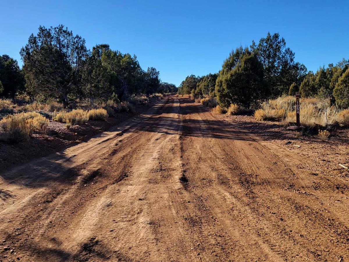 BLM 1054 photo 2